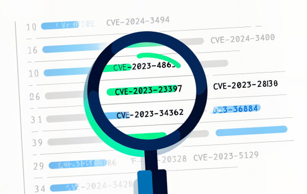 Beyond Vulnerability Management – Can You CVE What I CVE?